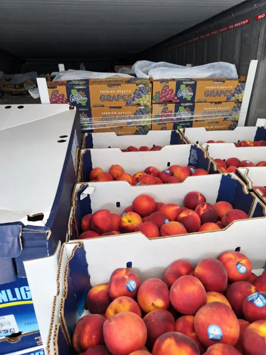 Transporte de frutas y productos perecederos